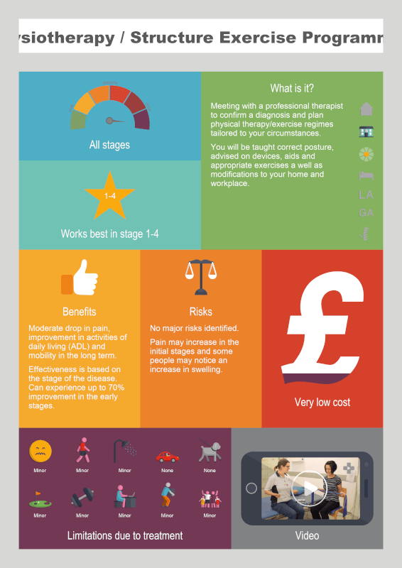 Physiotherapy / Structure Exercise Programmes info graphic